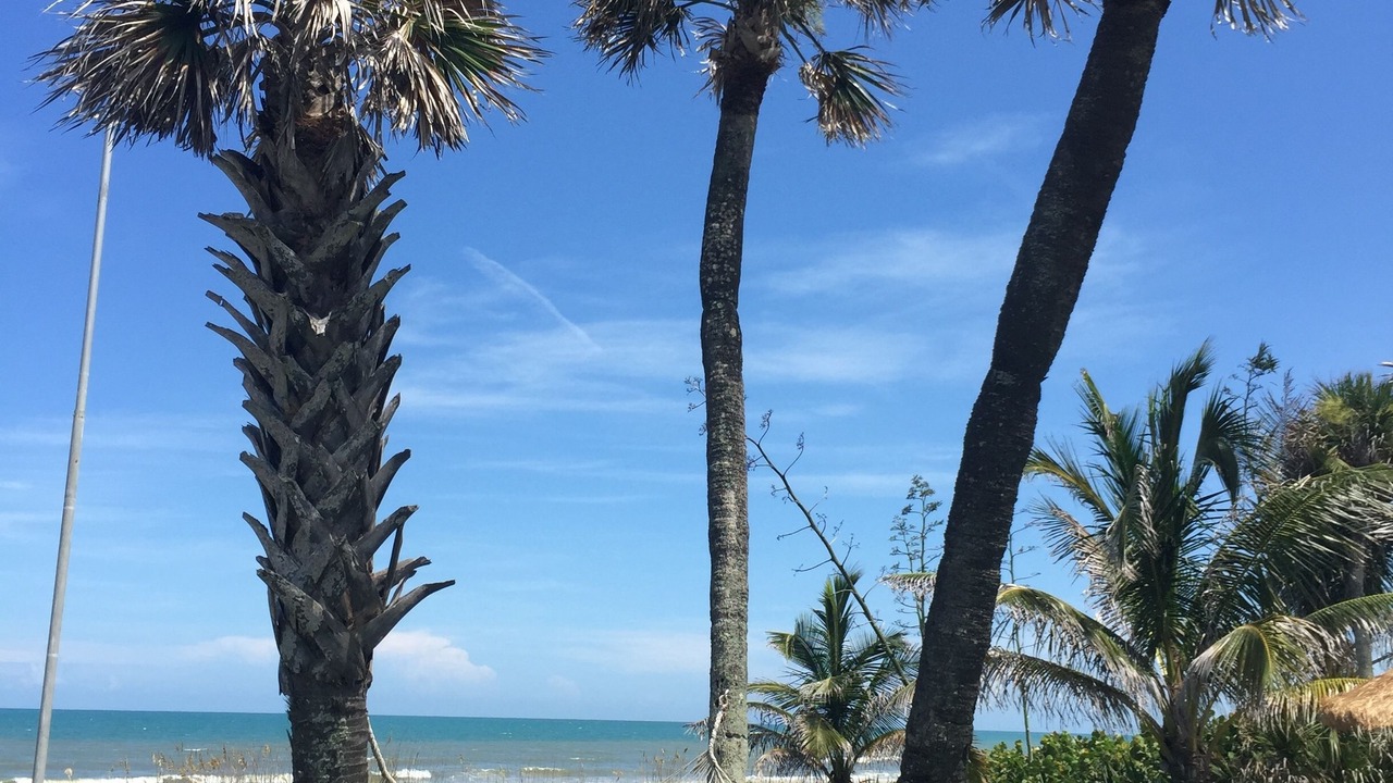 Photo of Outdoor in Cocoa Beach