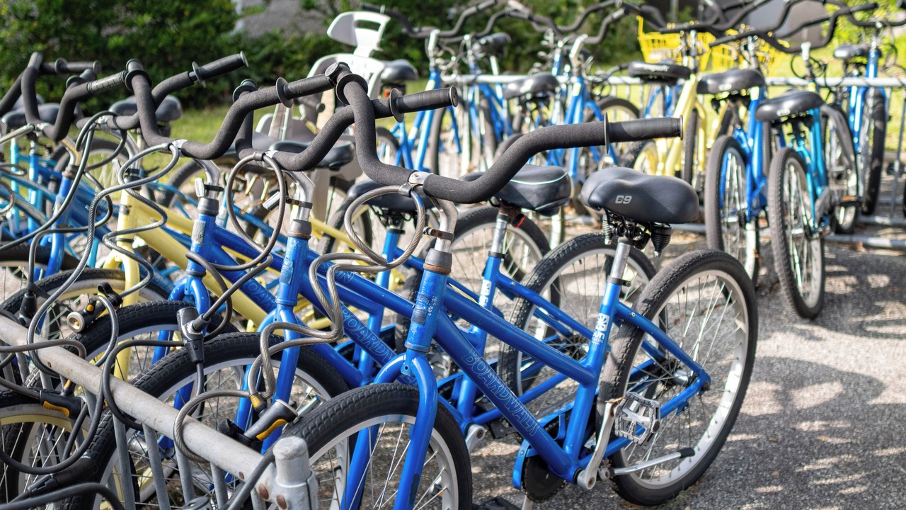 Photo of Outdoor in Epworth Acres