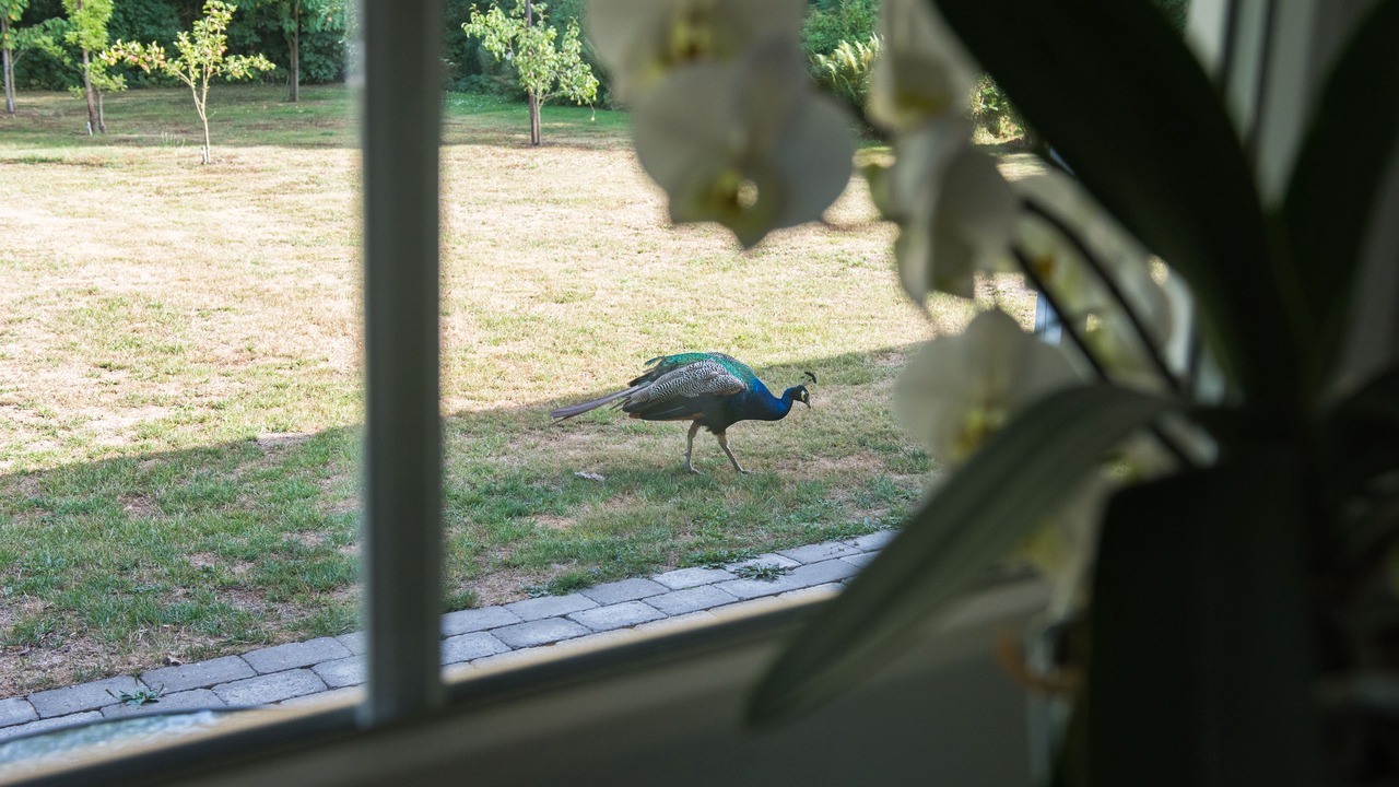 Photo of Outdoor in Middelfart