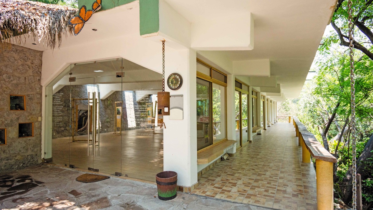 Photo of Outdoor in San Jose Purua