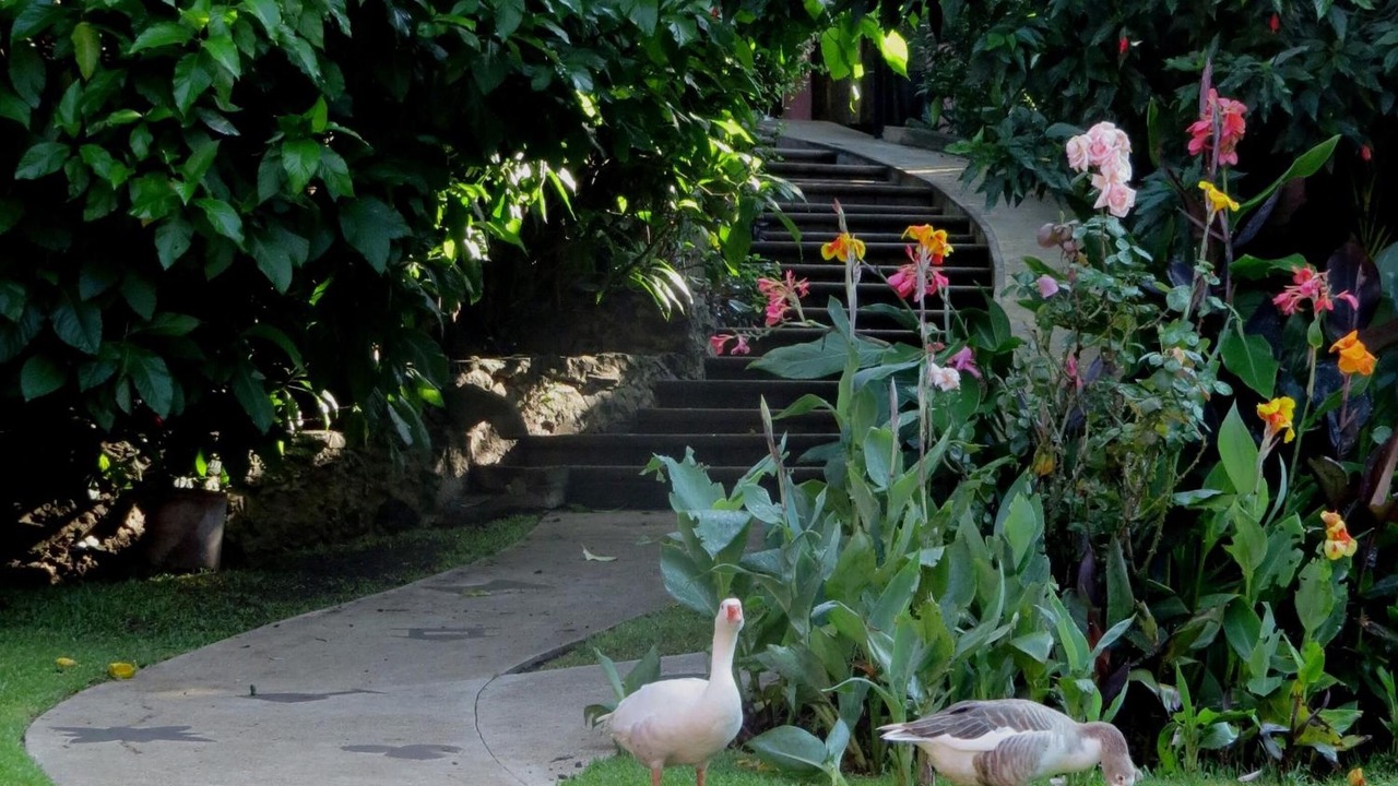 Photo of Outdoor in San Jose Purua
