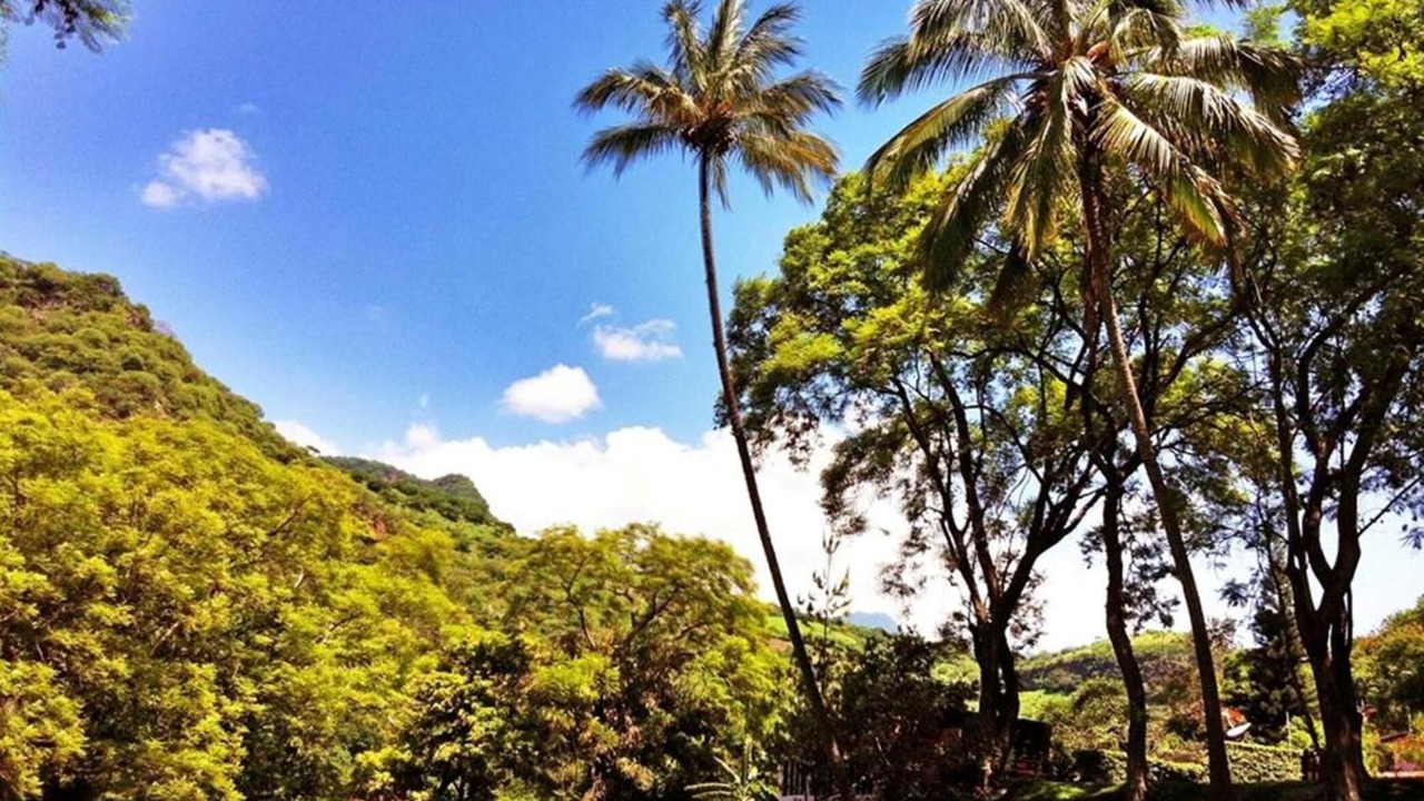 Photo of Outdoor in San Jose Purua