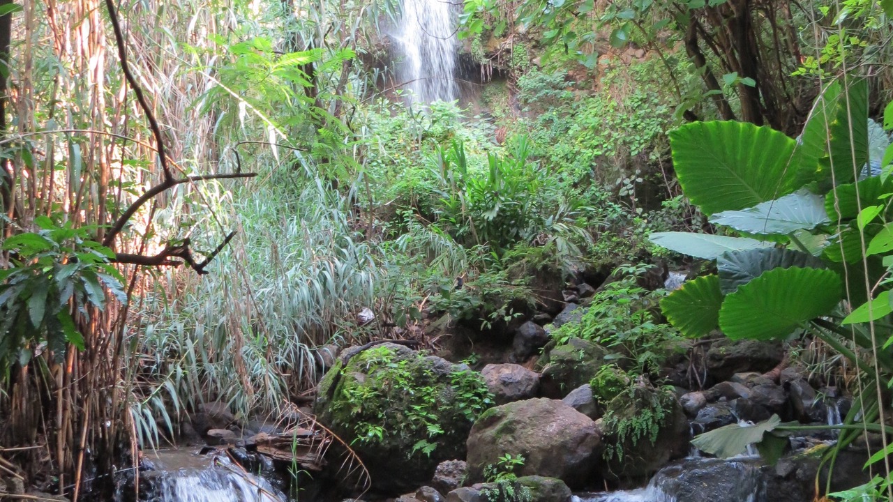 Photo of Outdoor in San Jose Purua