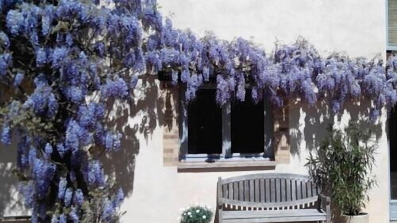 Photo of Outdoor in Saint-Jean-de-Thurigneux