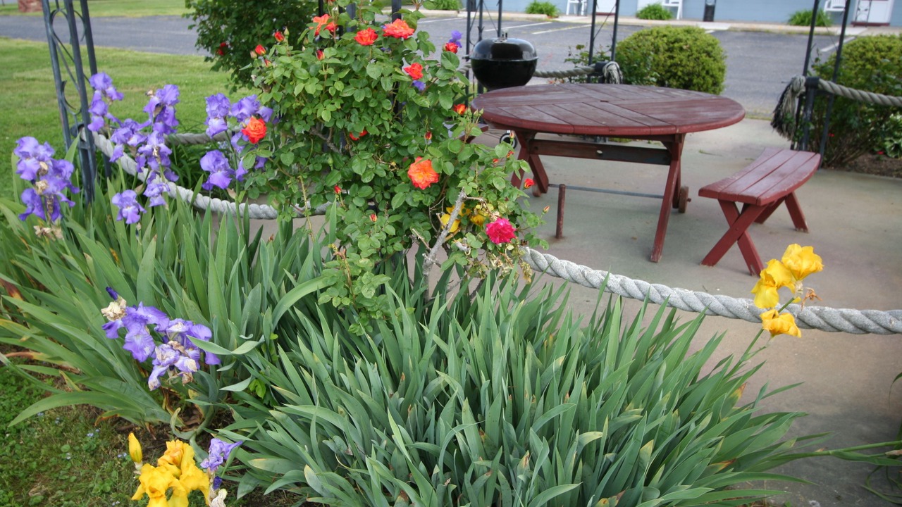 Photo of Outdoor in Rock Hall