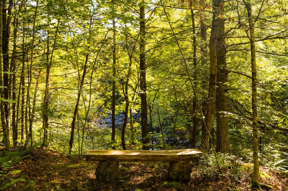 Photo of Outdoor in Bolton-Est