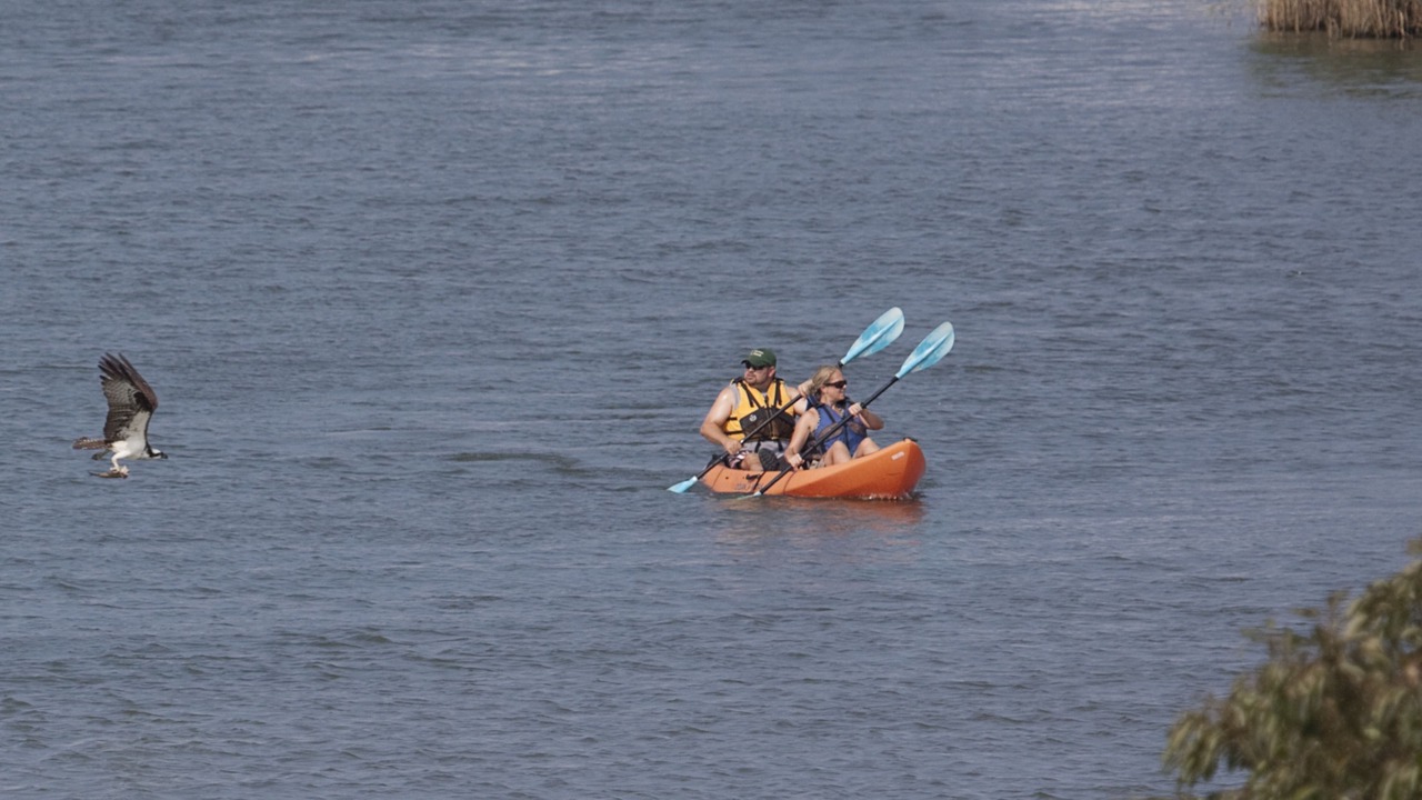 Photo of Others in Tilghman