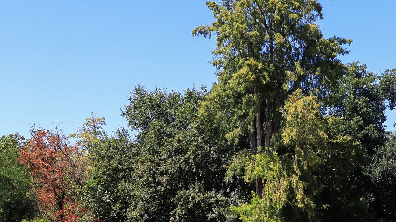 Photo of Outdoor in Boe
