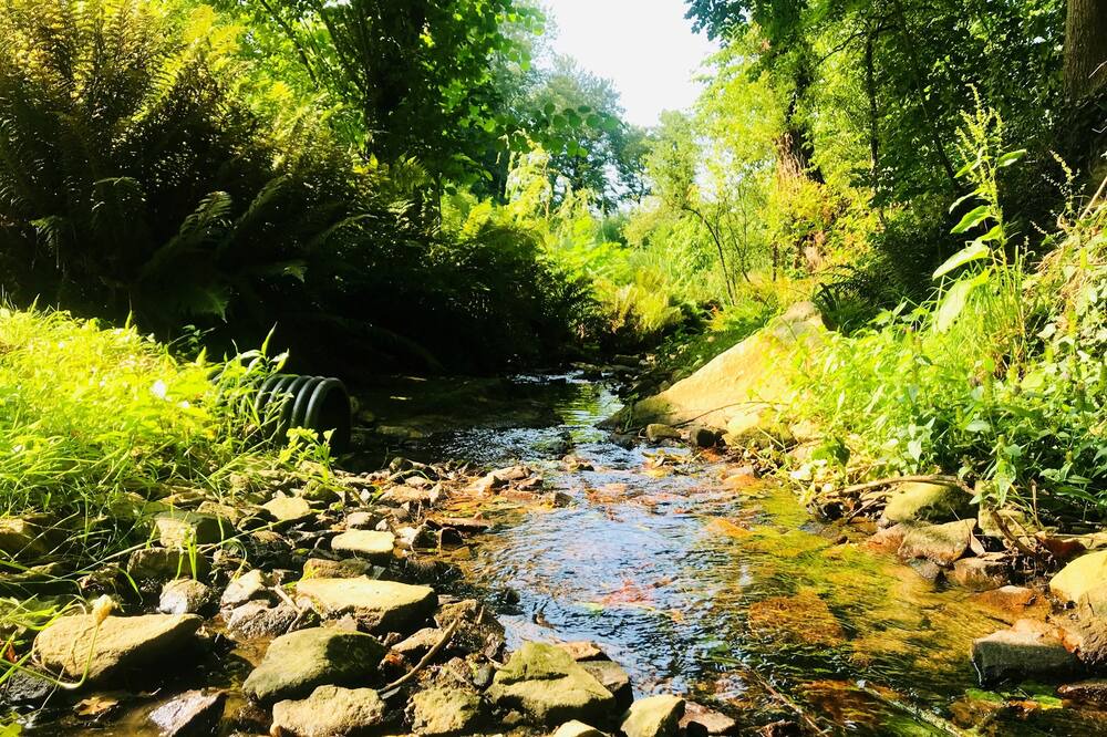 Photo of Outdoor in Matignon