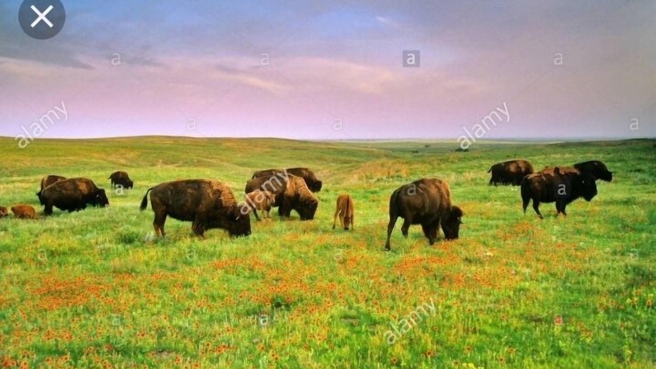 Photo of Others in Minneola