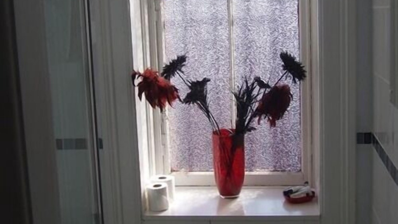 Photo of Others in Montrose