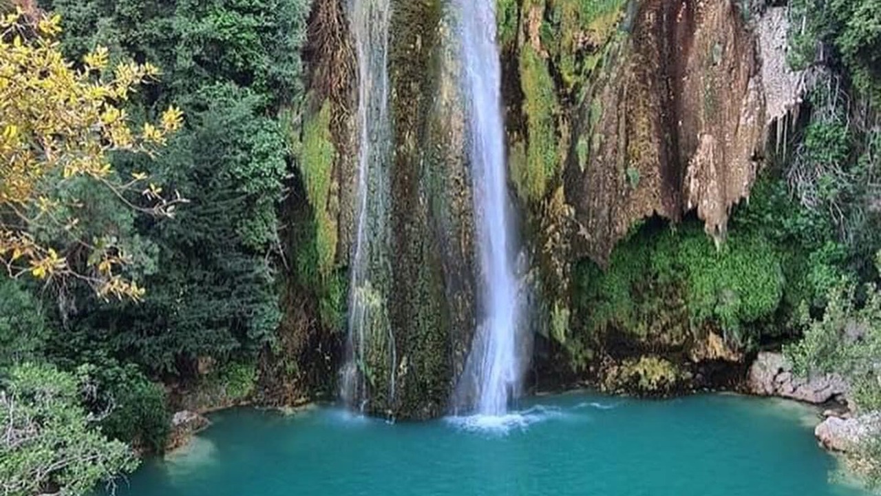 Photo of Others in Caille