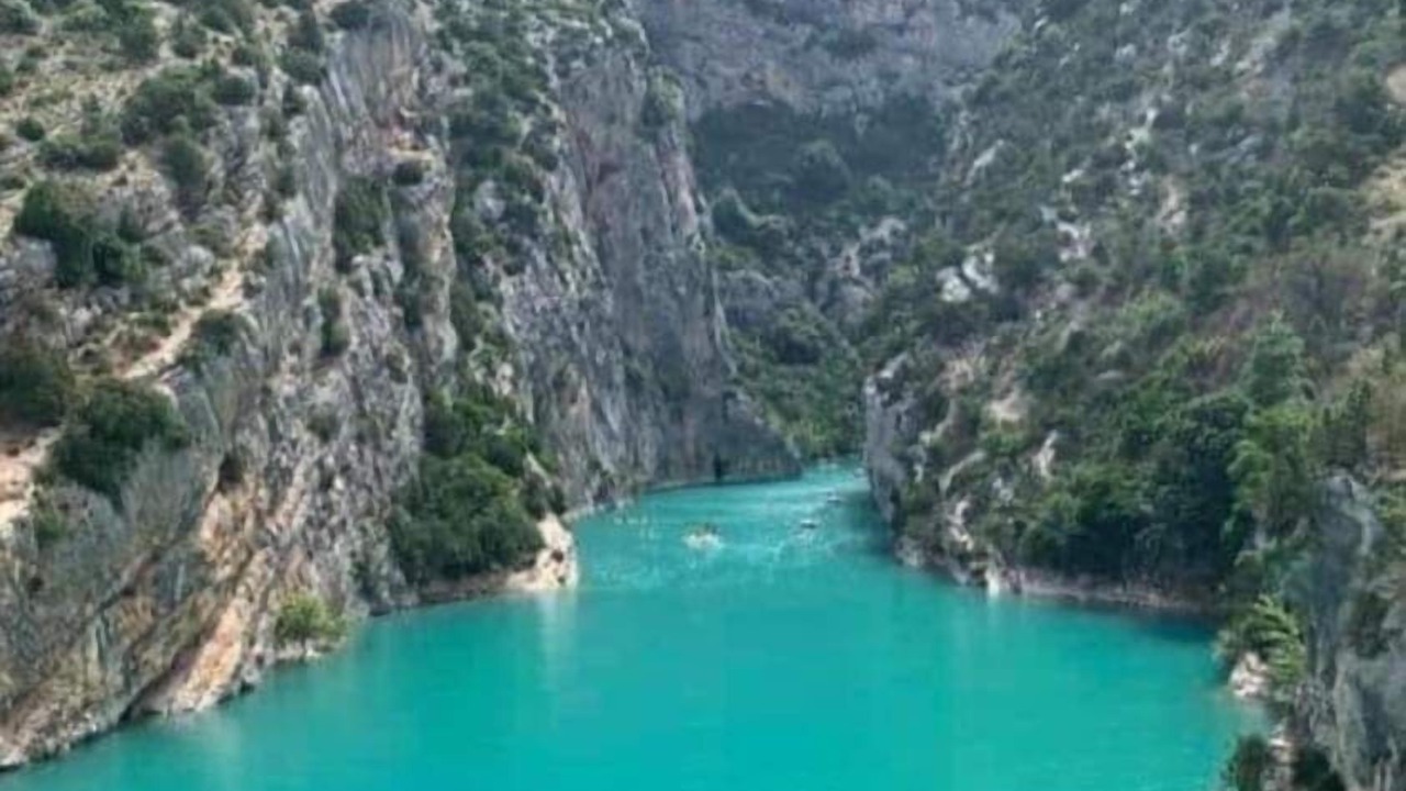 Photo of Others in Caille