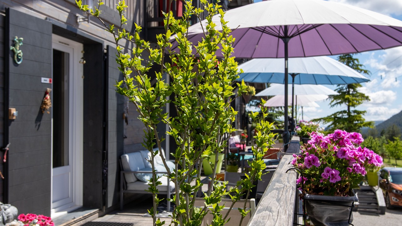 Photo of Outdoor in Caille