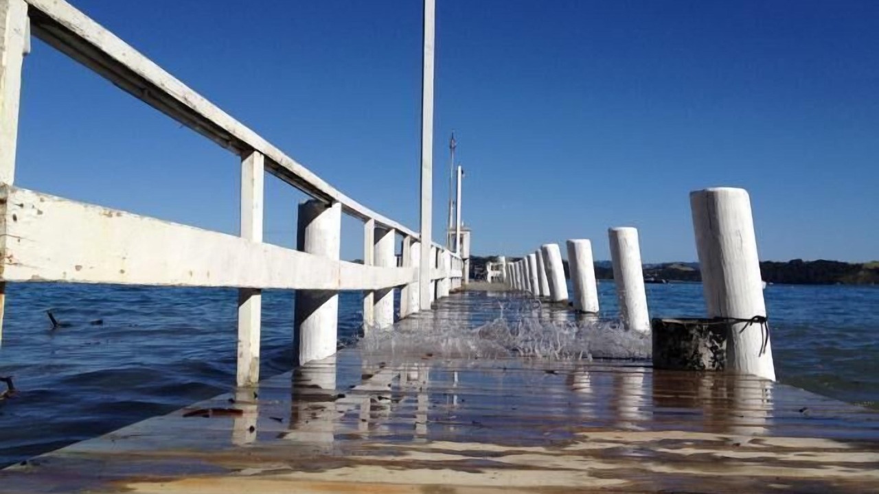 Photo of Outdoor in Kawau Island