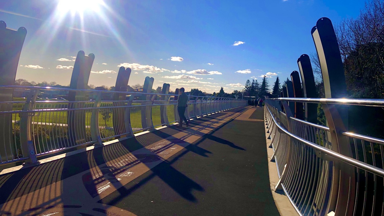 Photo of Buildings in Palmerston North