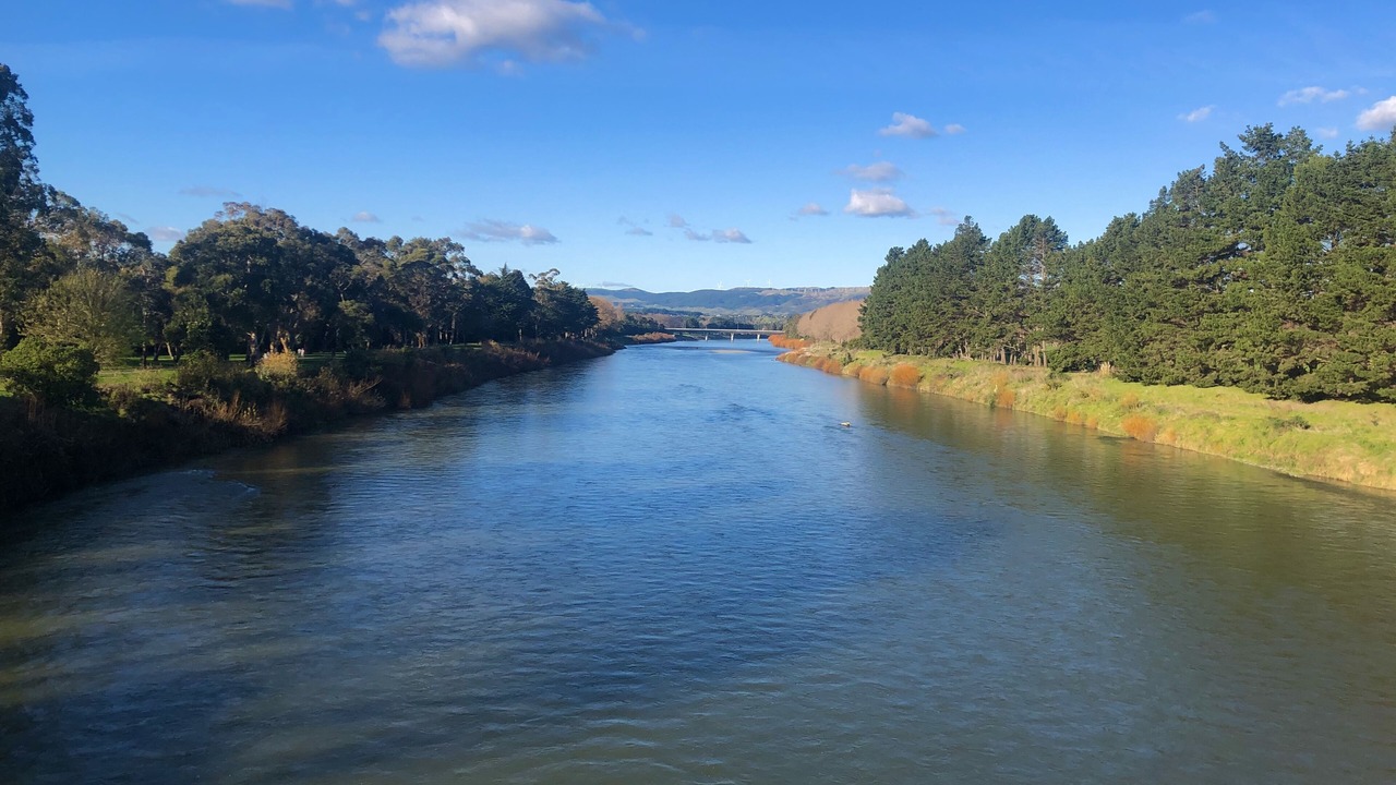 Photo of Outdoor in Palmerston North