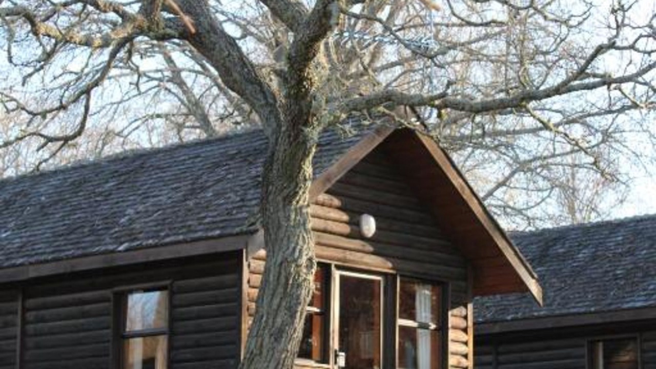 Photo of Others in Springfield