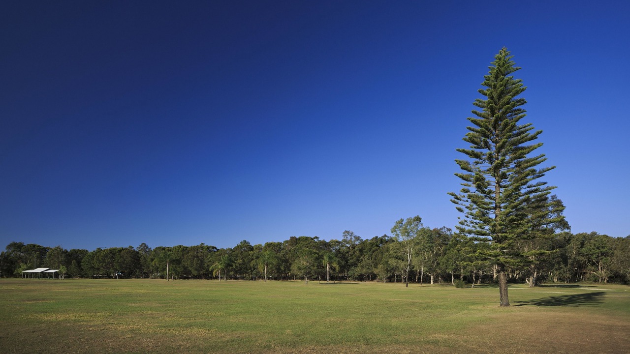 Photo of Others in Chinderah