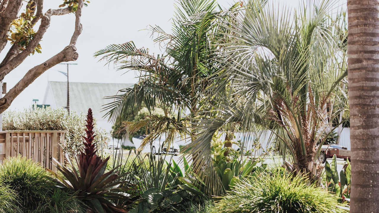 Photo of Outdoor in Whitianga