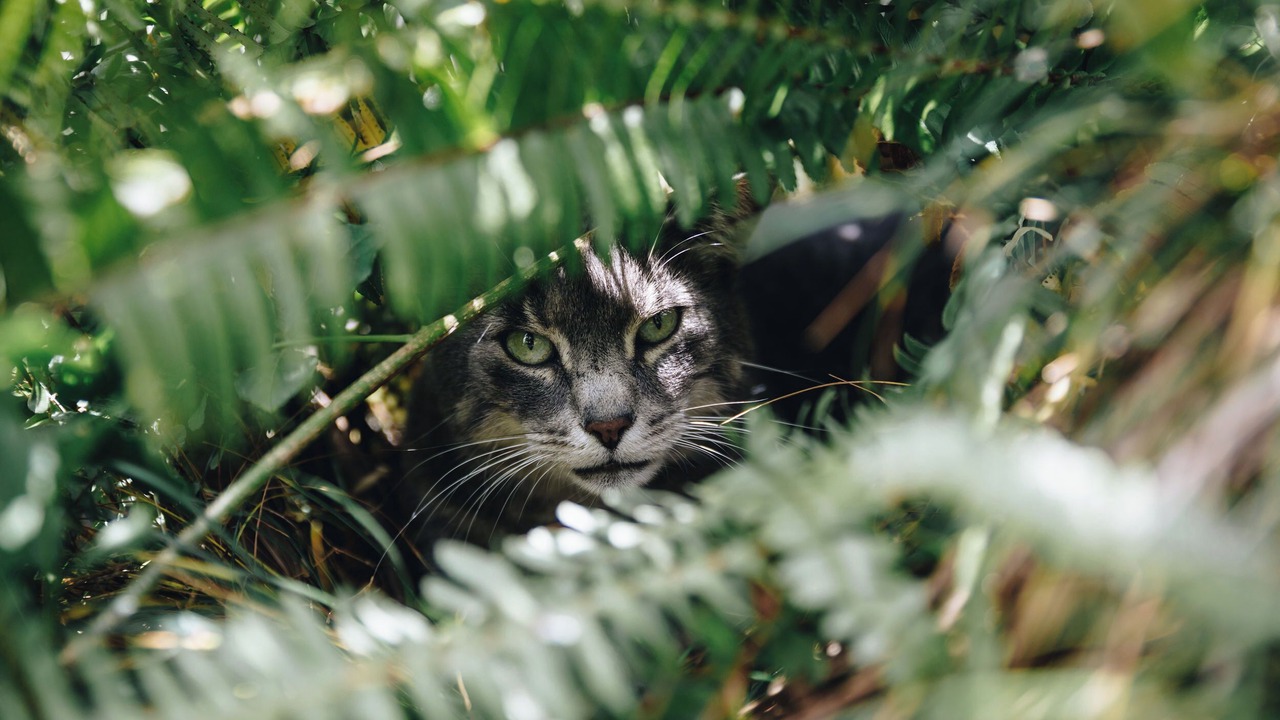 Photo of Others in Whitianga