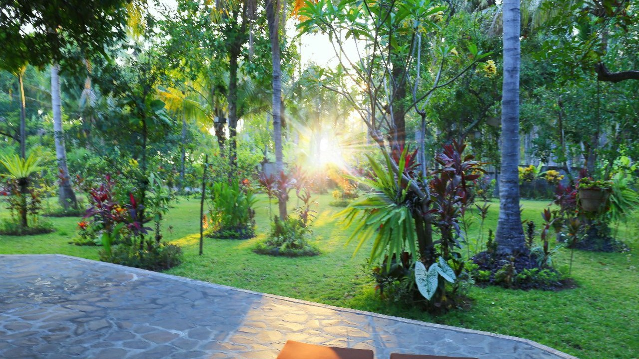 Photo of Outdoor in Bondalem