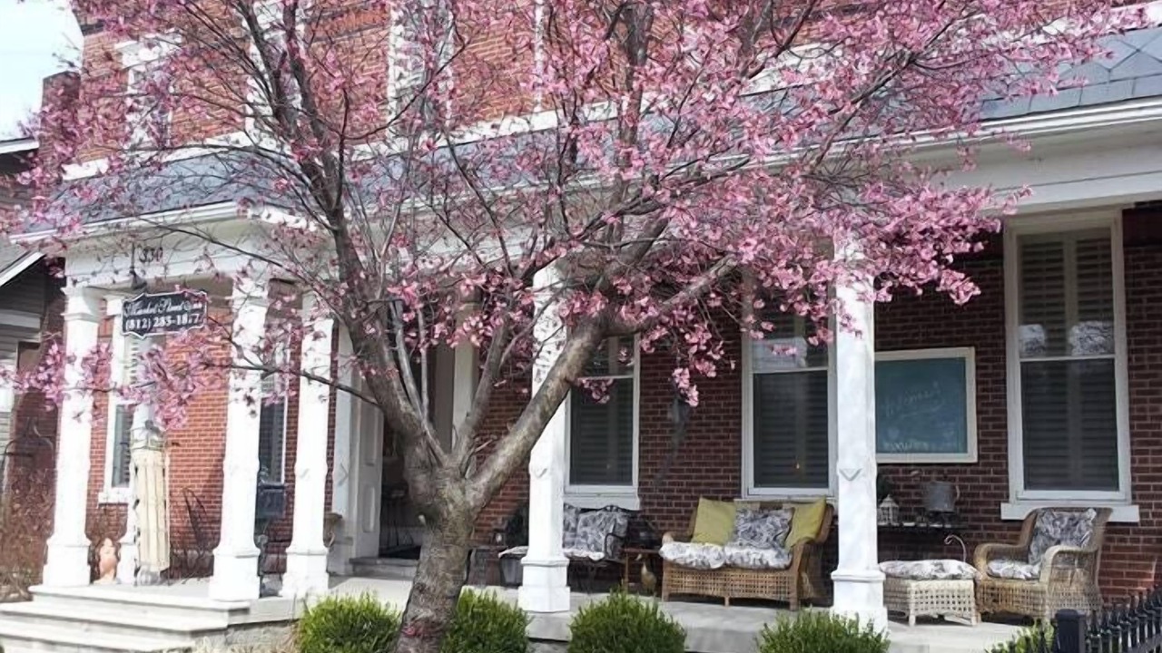 Photo of Outdoor in Jeffersonville