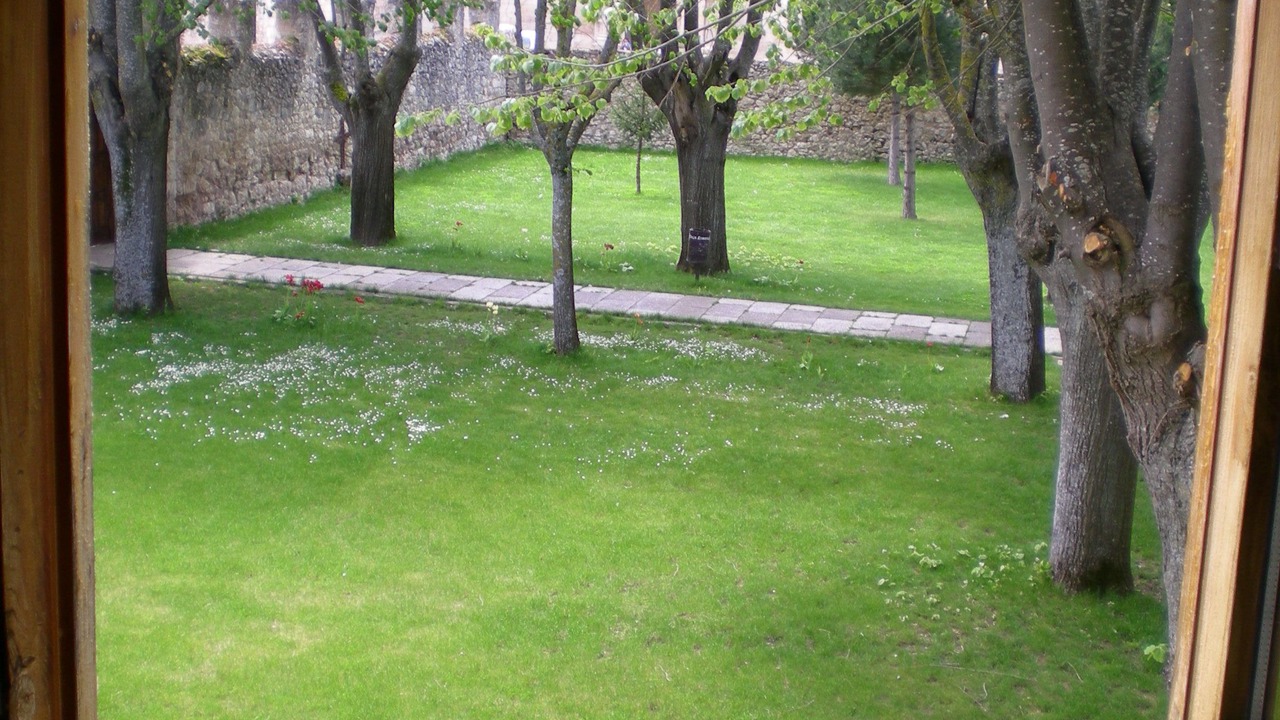 Photo of Others in Burgos
