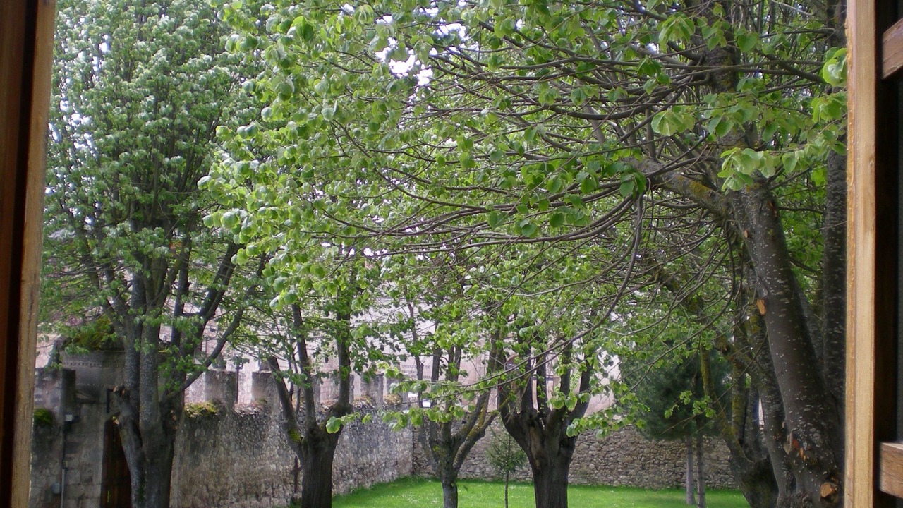 Photo of Others in Burgos