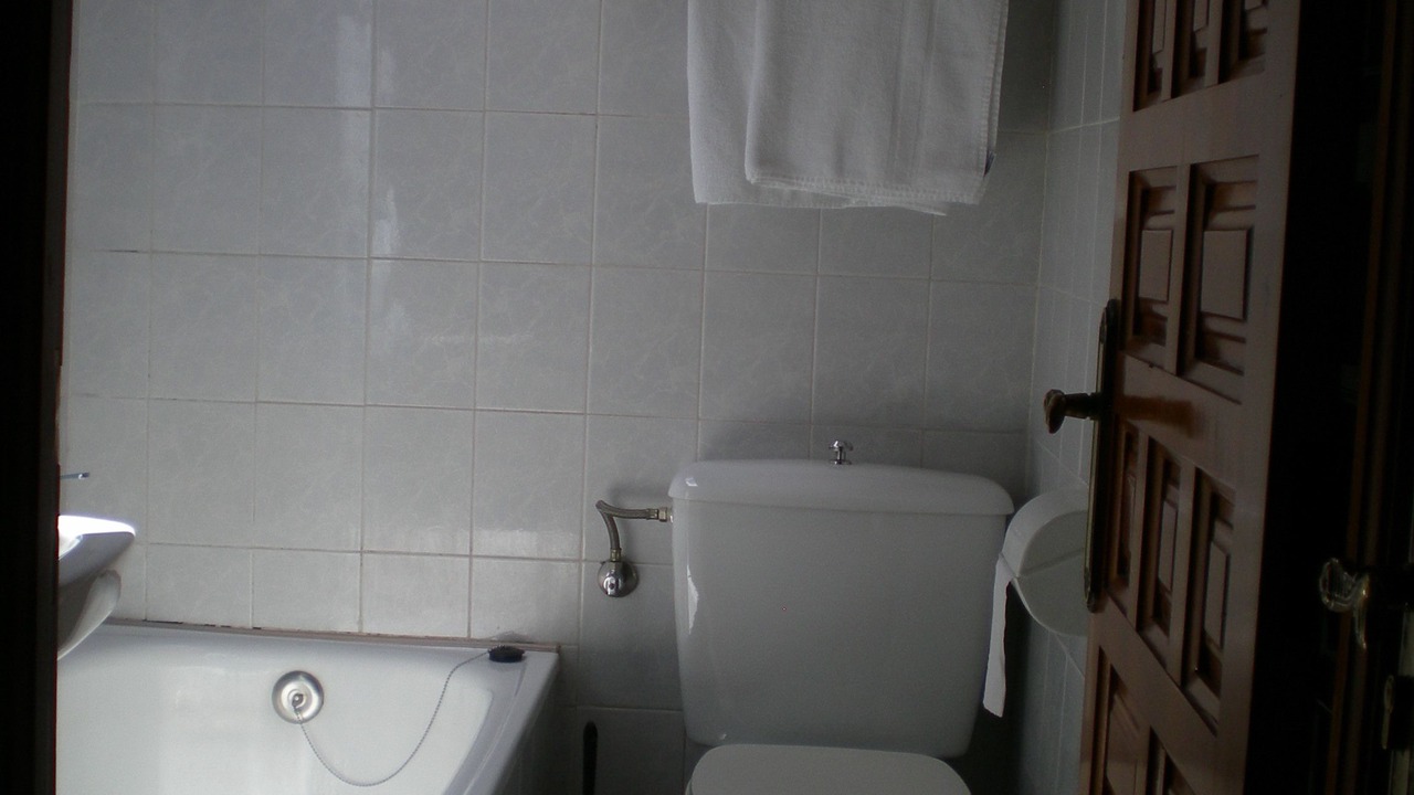 Photo of Bathroom in Burgos