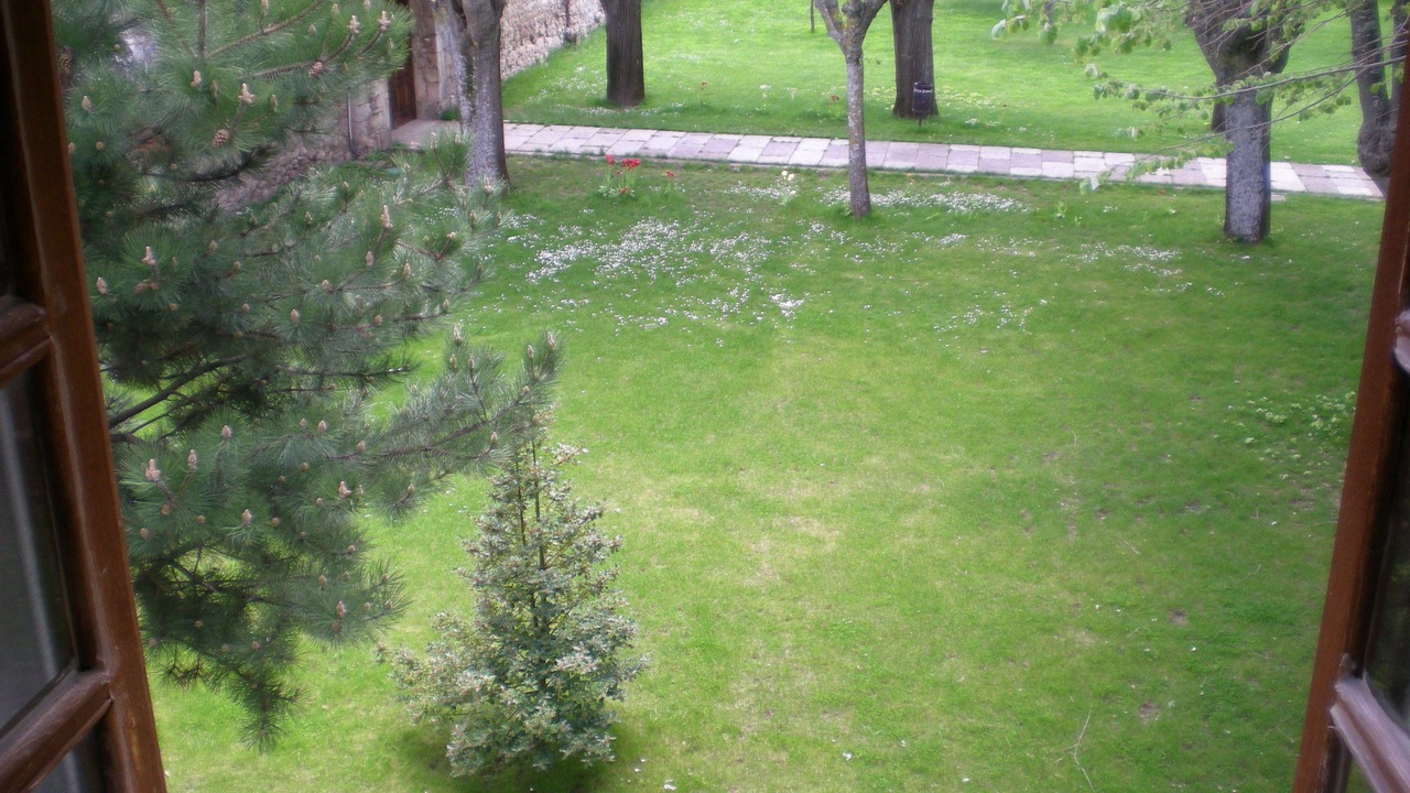 Photo of Others in Burgos
