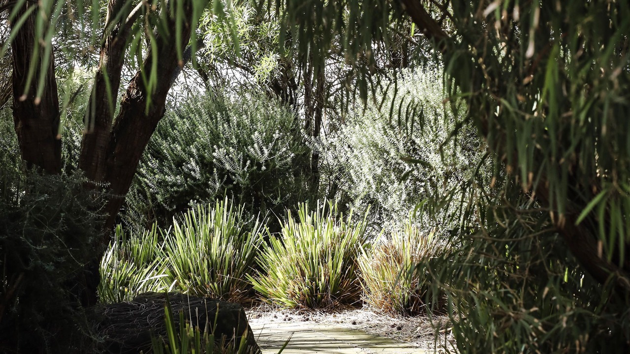 Photo of Outdoor in Port Campbell