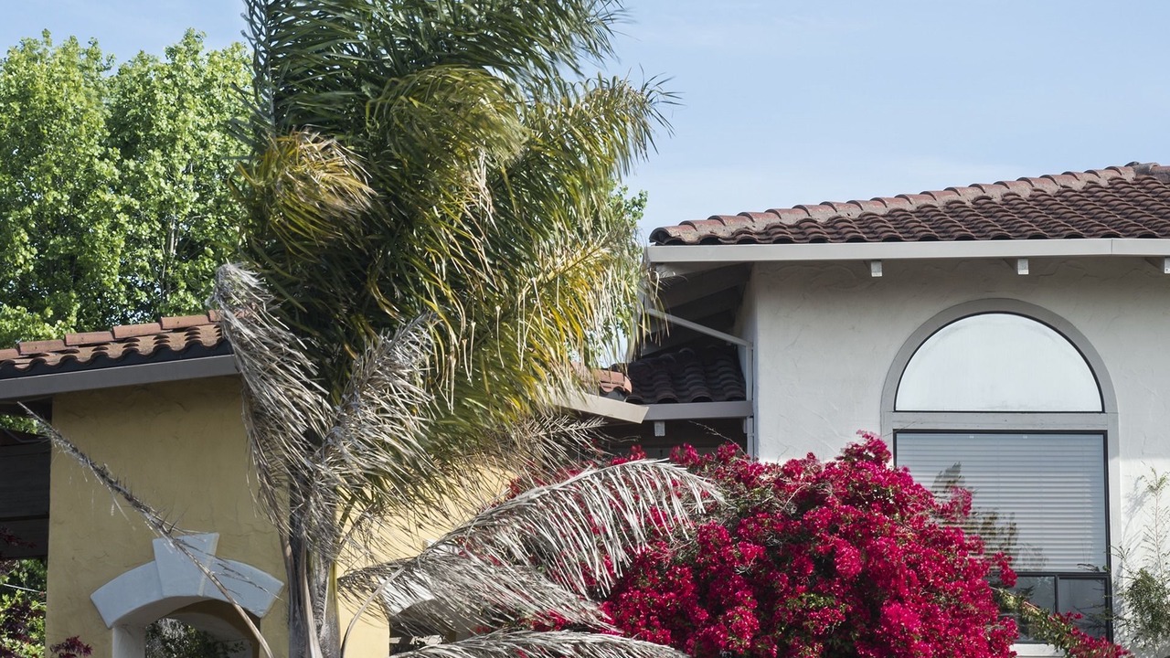 Photo of Outdoor in Westside Santa Cruz