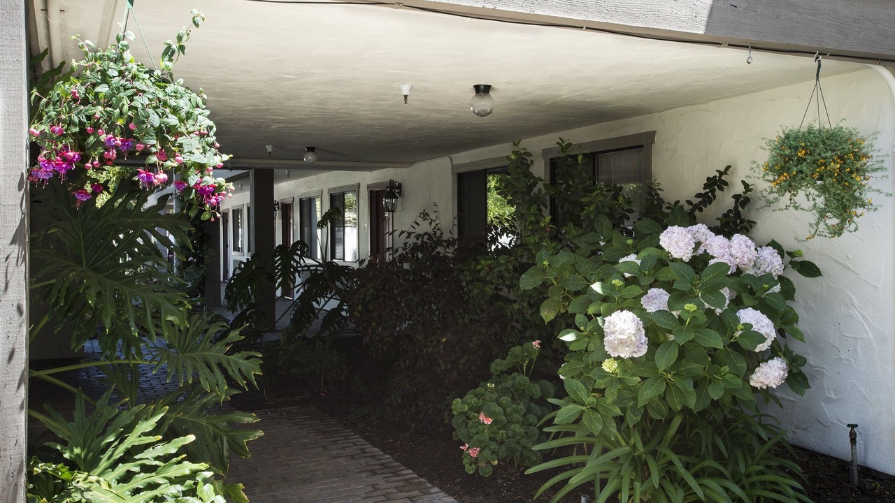 Photo of Outdoor in Westside Santa Cruz