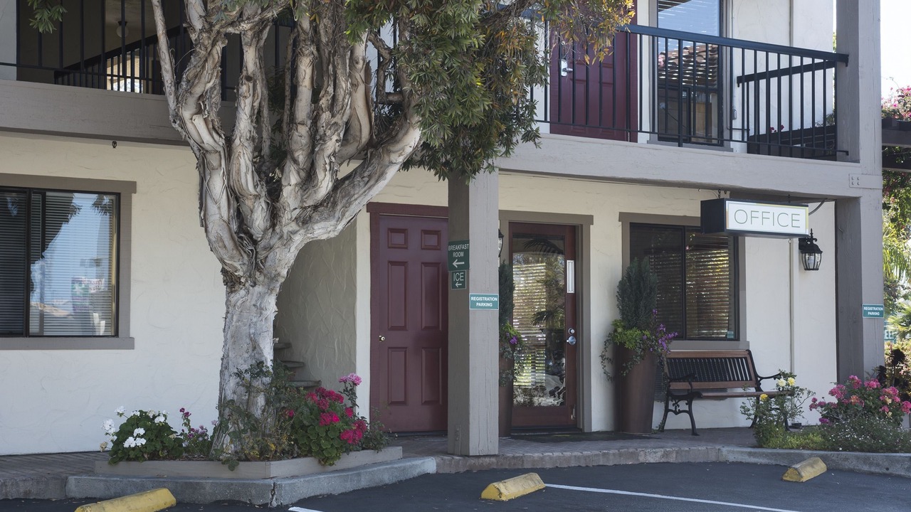 Photo of Outdoor in Westside Santa Cruz