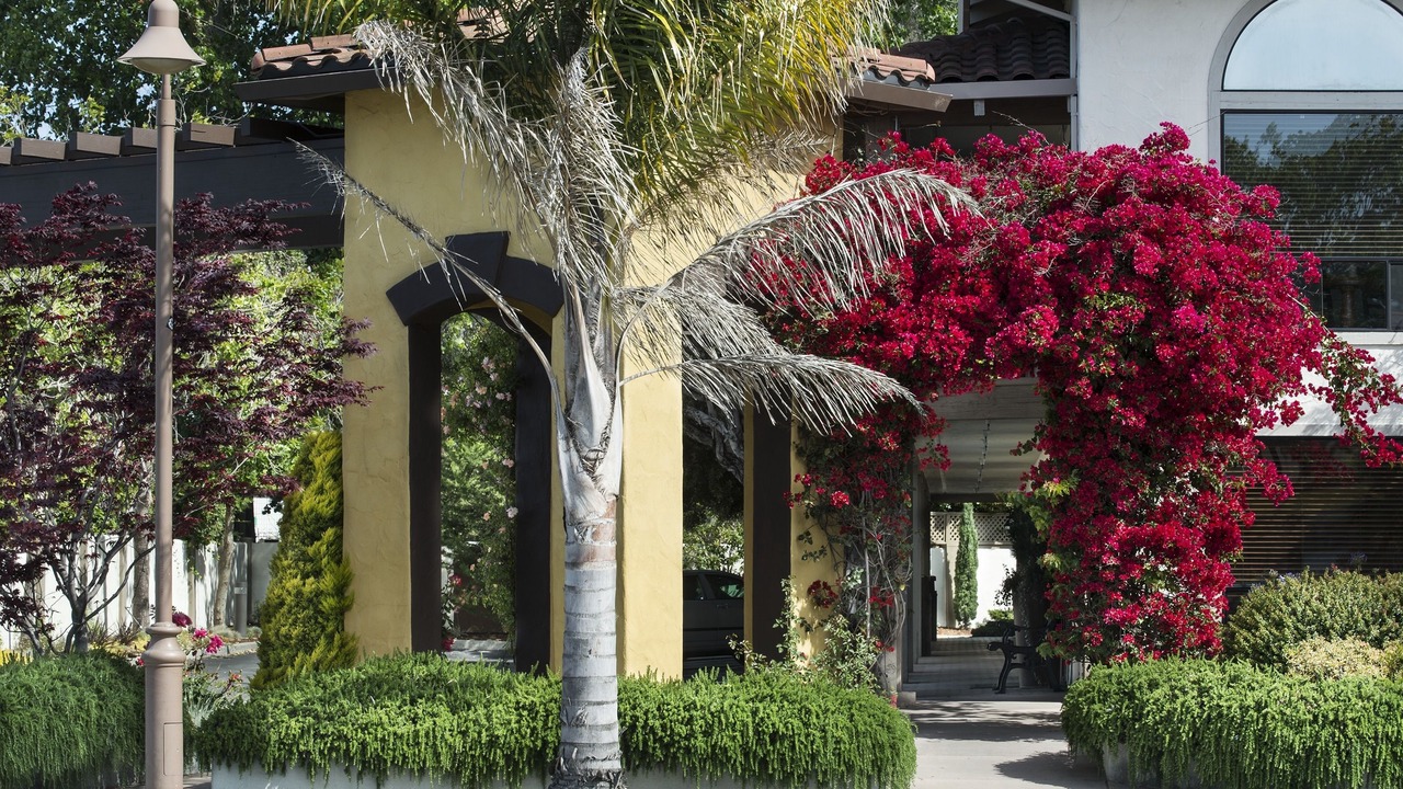 Photo of Outdoor in Westside Santa Cruz