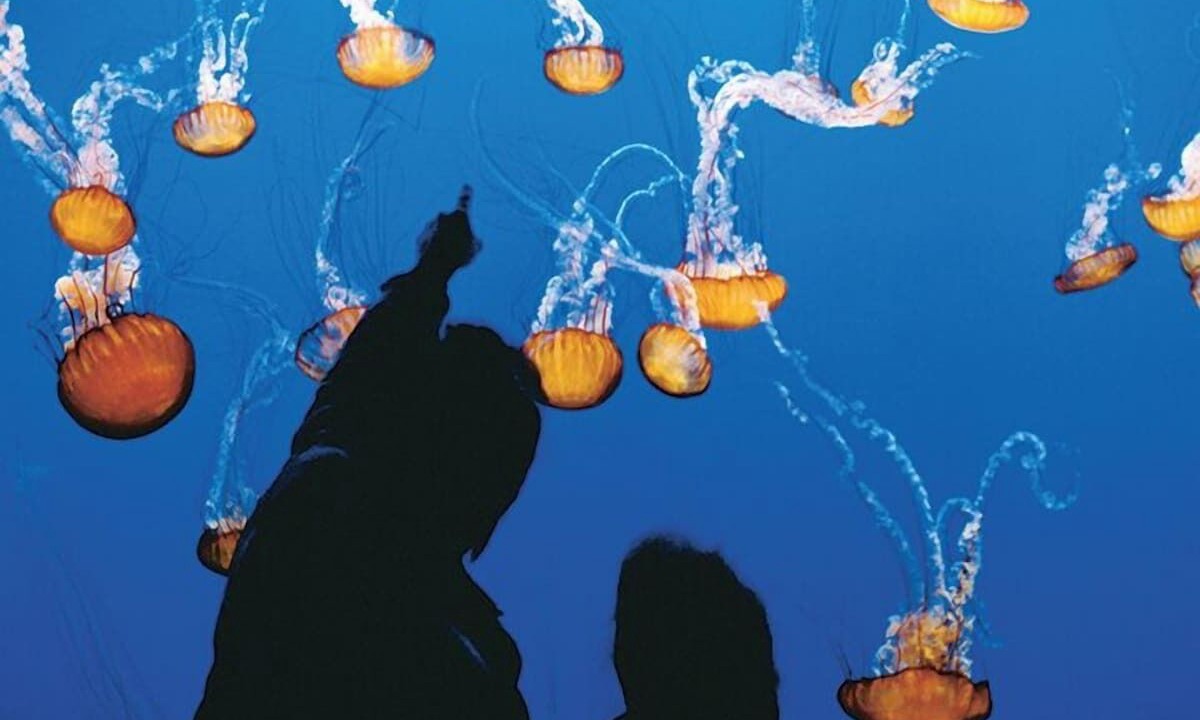 Photo of Others in Golden Rectangle