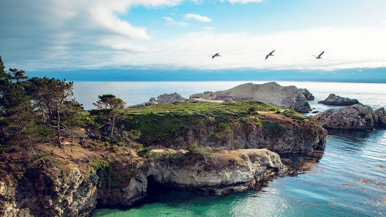 Photo of Others in Golden Rectangle