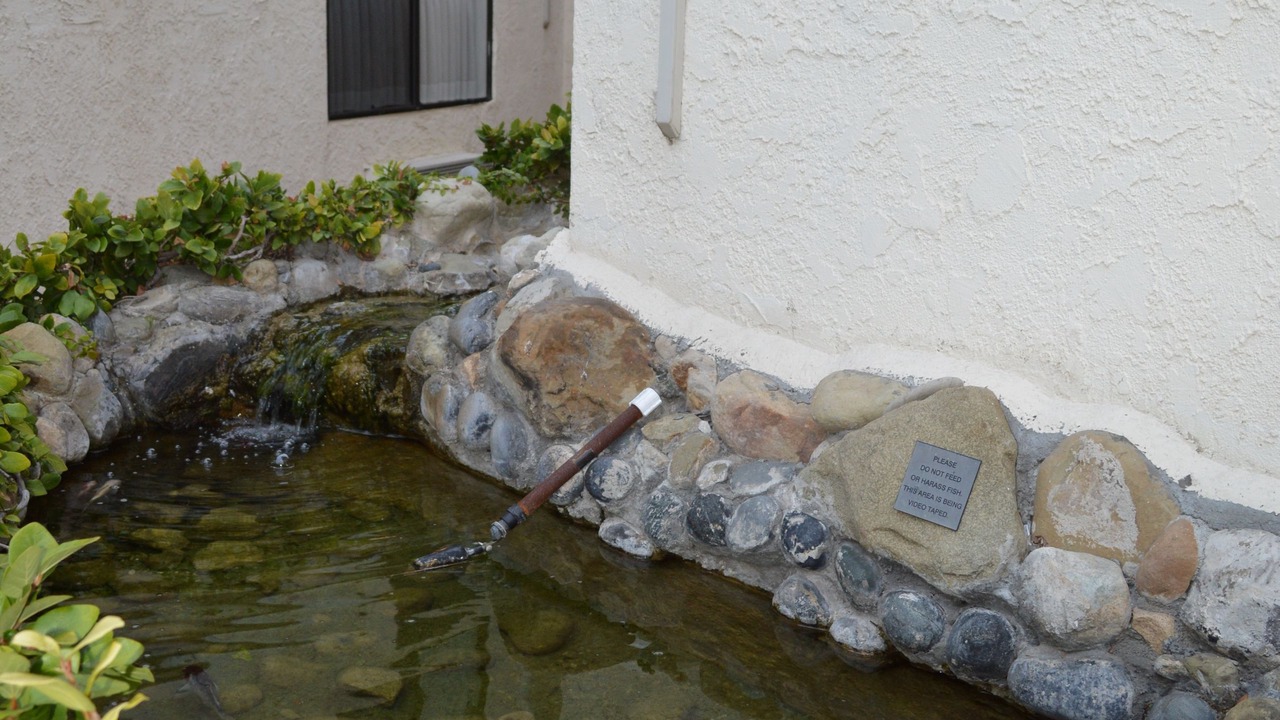 Photo of Outdoor in Marina del Rey