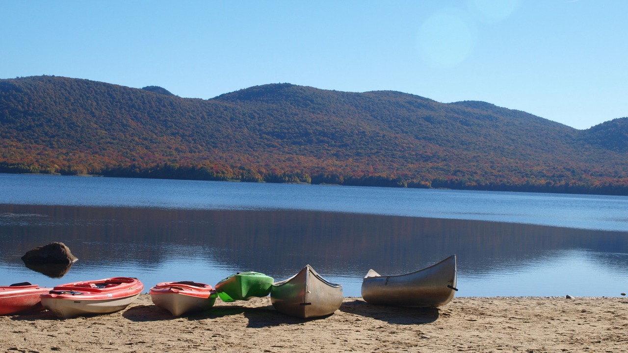 Photo of Others in Chittenden