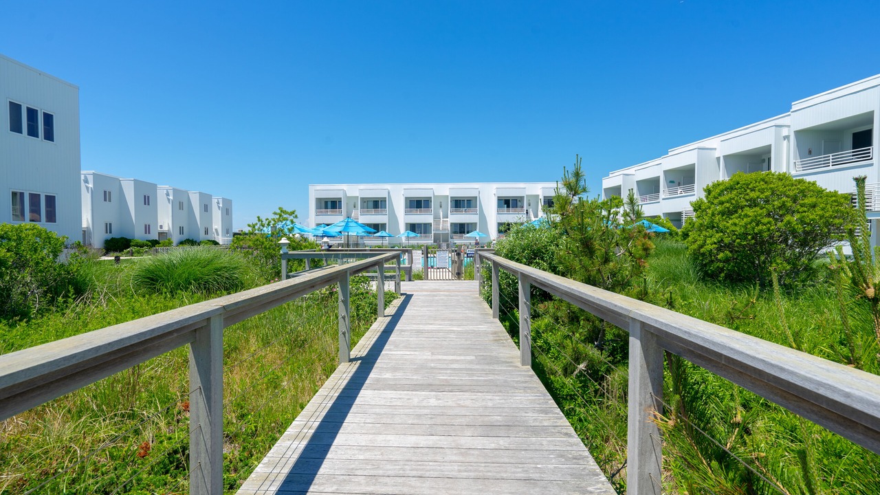 Photo of Outdoor in Amagansett