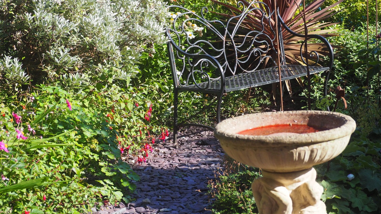 Photo of Outdoor in Lynton