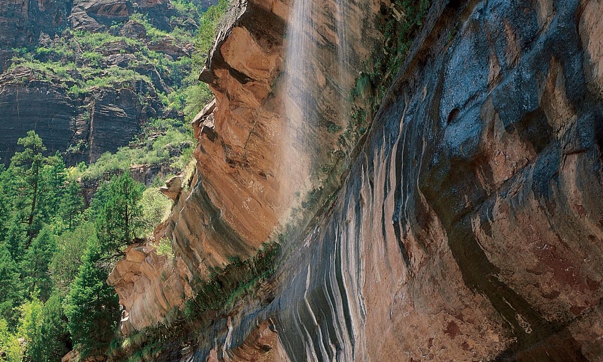 Photo of Outdoor in Zion National Park South Entrance