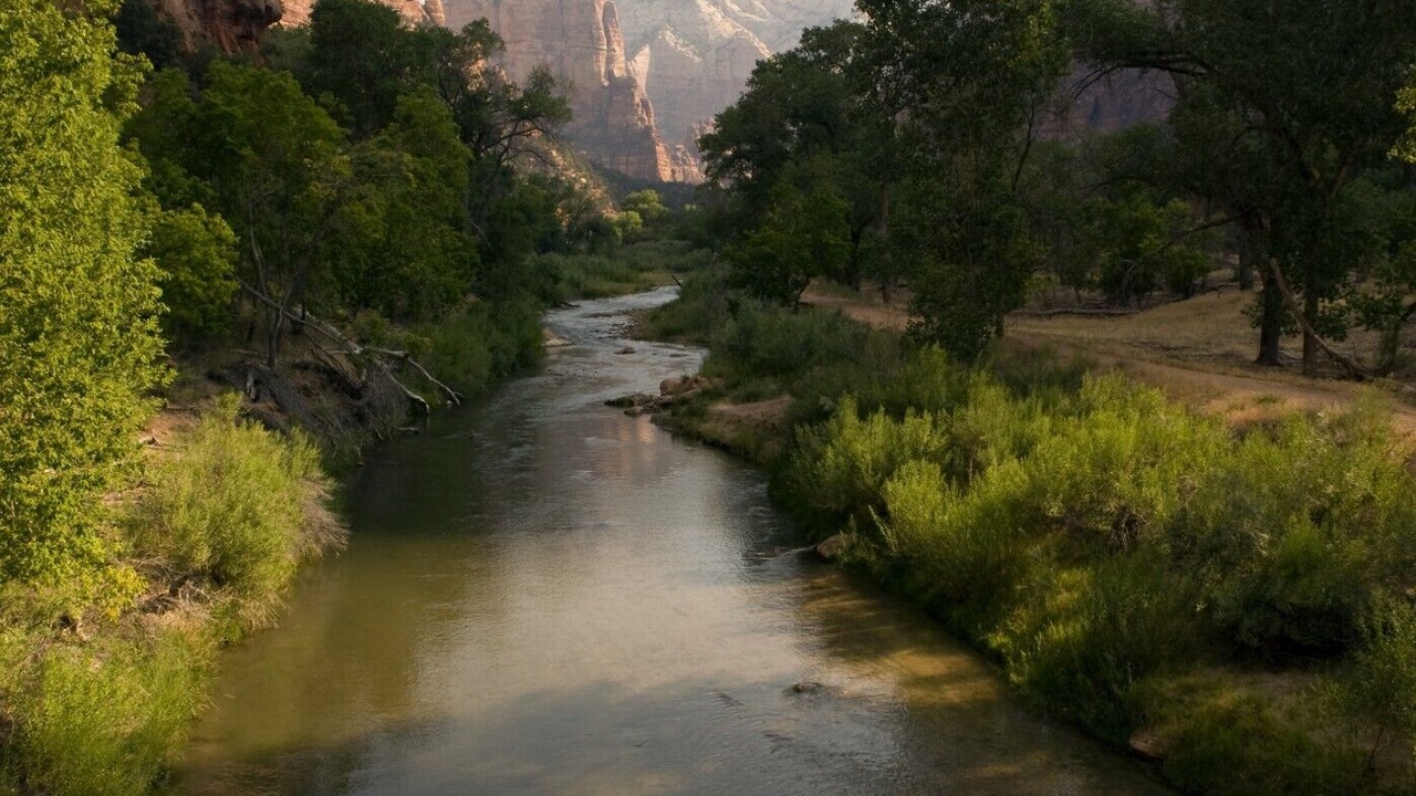 Photo of Others in Zion National Park South Entrance