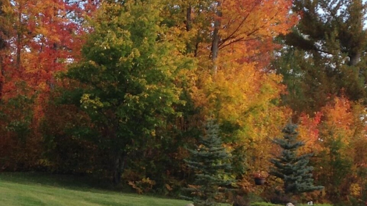 Photo of Outdoor in Grand Rapids