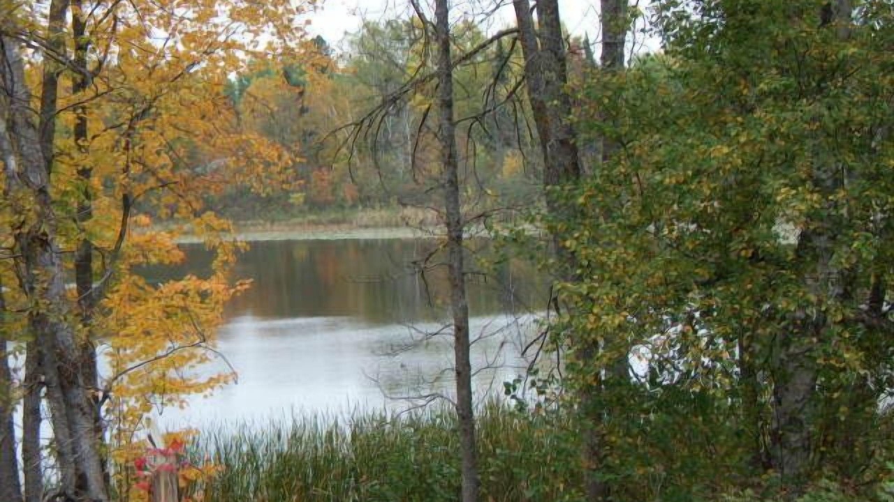 Photo of Others in Grand Rapids