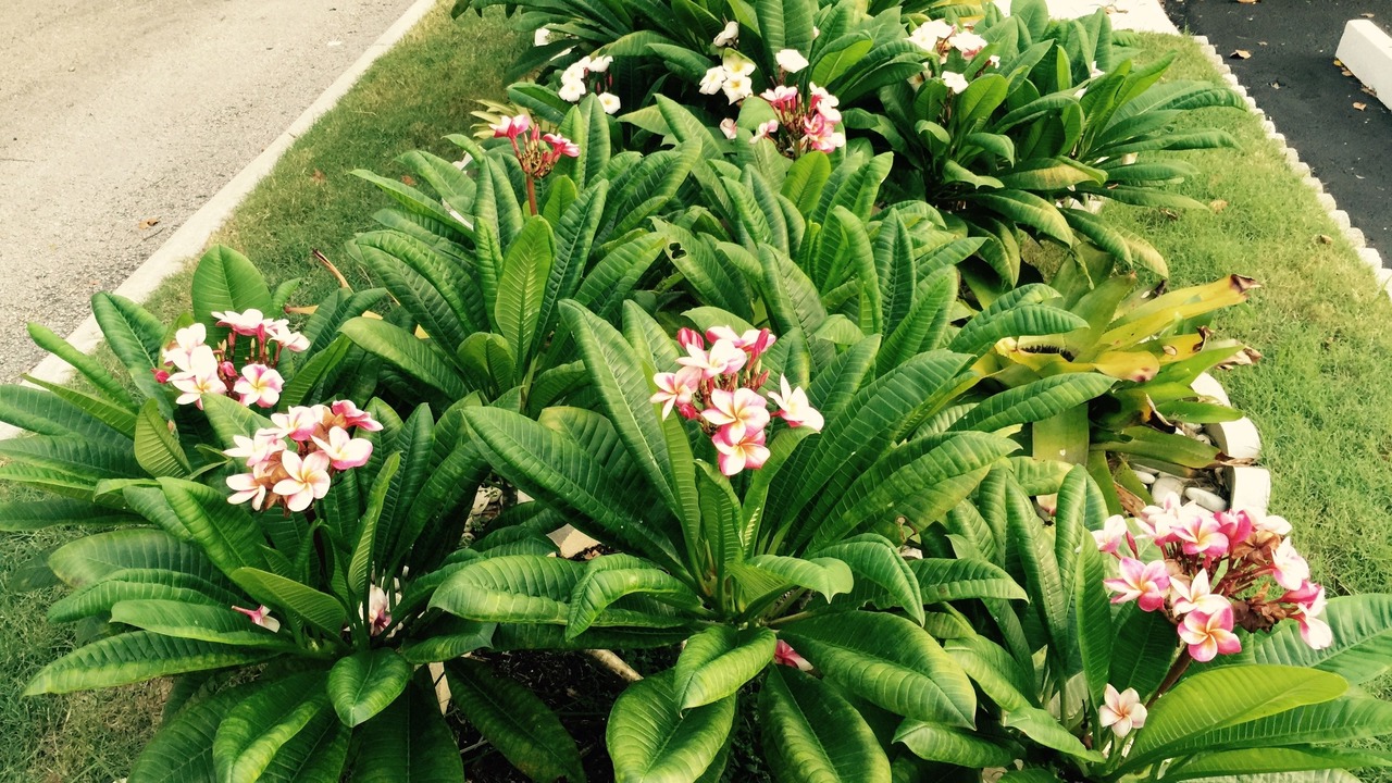 Photo of Outdoor in Downtown Hollywood