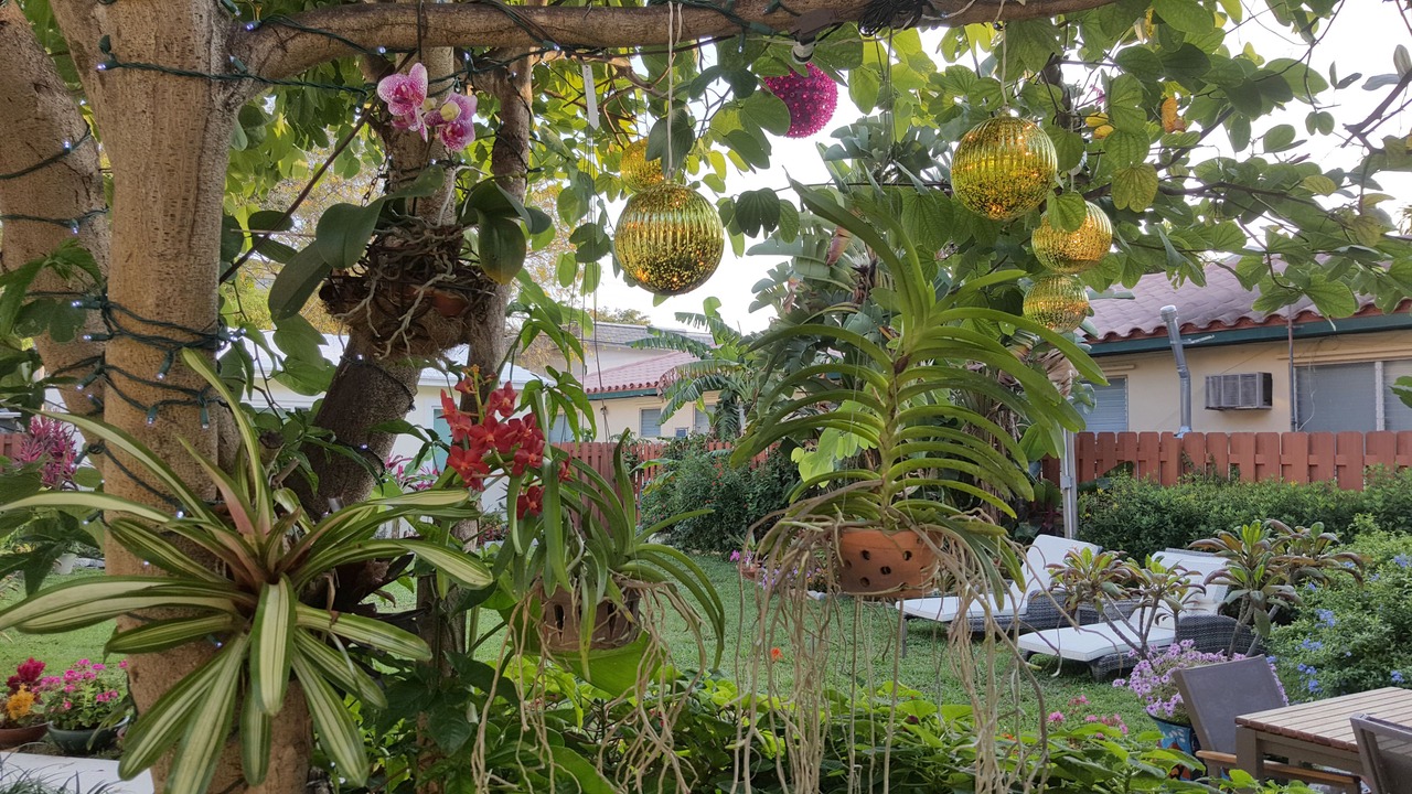 Photo of Outdoor in Downtown Hollywood