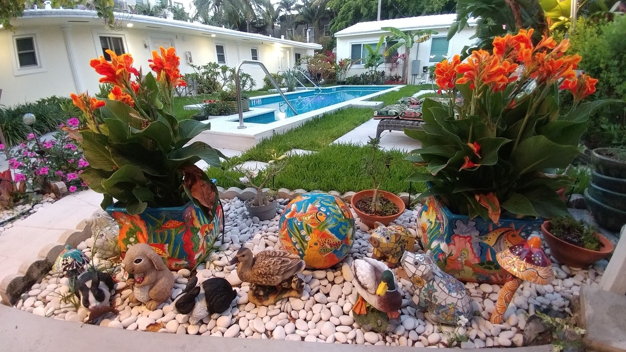 Photo of Outdoor in Downtown Hollywood