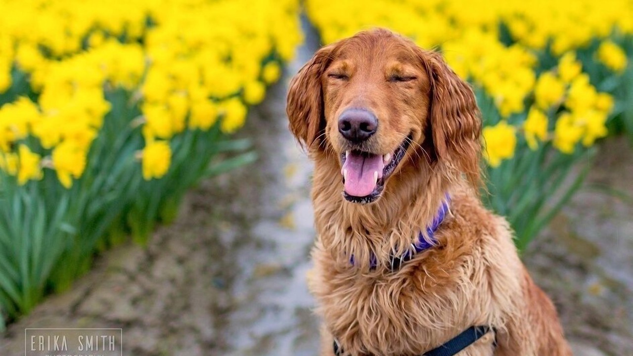 Photo of Others in La Conner